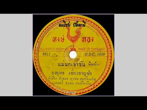 แม่นกเขาขัน-ยงยุทธเชี่ยวชาญ