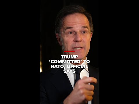 Trump administration ‘absolutely committed’ to NATO, Secretary General says
