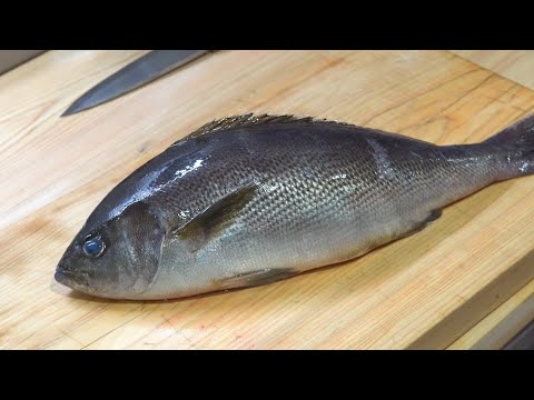 これは使える！イサキの三枚おろし〜塩締め・保存・食べ方まで