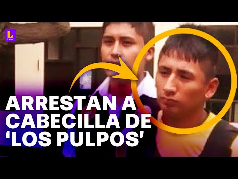 Arrestan en Chile a cabecilla de Los Pulpos: Parece que en Perú no los buscaba nadie