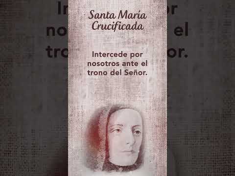 Oración a Santa María Crucificada de la Rosa #SantoDelDía  #TeleVID #Shorts