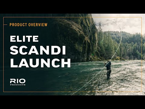New | RIO Scandi Launch