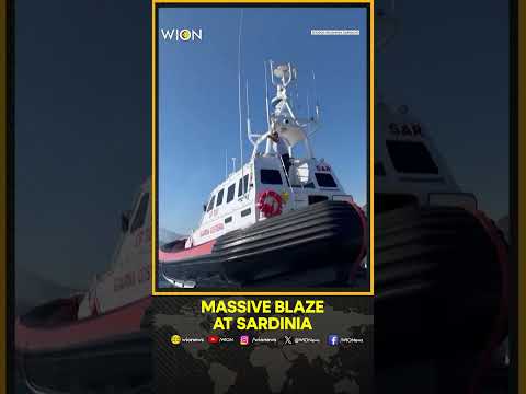 Wildfire Burns Near Brachgoers in Sardinia's Punta Molentis | WION Shorts