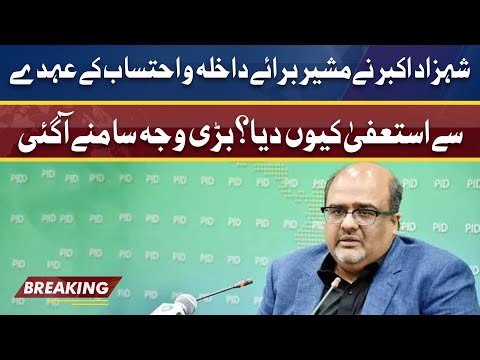 Why Shahzad Akbar resigns as PMs adviser? | بڑی وجہ سامنے آ گئی