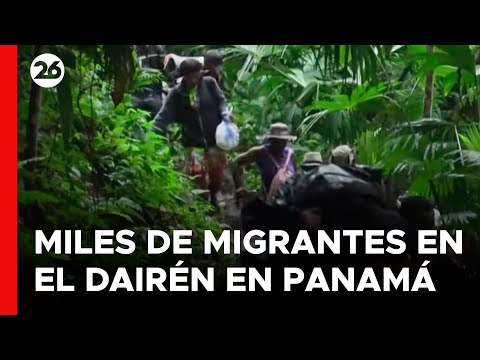 PANAMÁ | Al menos 40.000 migrantes cruzaron la selva de Darién en el 2024