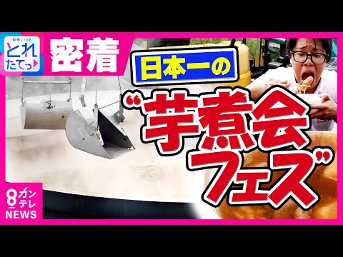 6.5mの大鍋で煮込む「日本一の芋煮会」裏側を密着　里芋3トンに山形牛1.2トン　2台のショベルカーが豪快にかき混ぜて調理　3万食の芋煮は5時間で完食｜旬感LIVE とれたてっ!〈カンテレNEWS〉