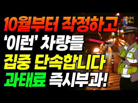10월부터 '이런 차량들' 싹 다 집중 단속합니다. 과태료 즉시 부과되고 벌점 폭탄에 면허정지까지 될 수 있습니다! #교통법규 #차량단속
