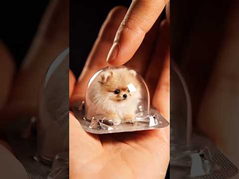 Pomerania mini peluche