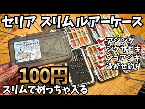 【100均釣り】スリムケース【めちゃ入る】