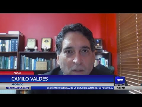 Camilo Valde?s nos habla de los alegatos de la demanda de inconstitucionalidad contra Mulino