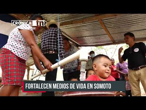 Somoto: Programa Nica Vida continúa complementando agricultura familiar - Nicaragua