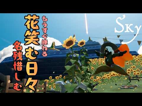 thumbnail_1lSdPiVYpic