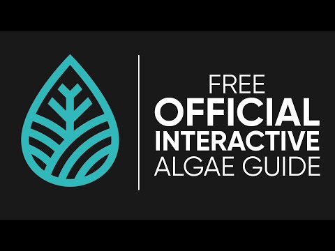 AquascapeGuide - Free Official Interactive Algae G #AquascapeGuide #Aquascaping #plantedaquarium 

Conquering the Green Menace_ Tame Your Tank with the