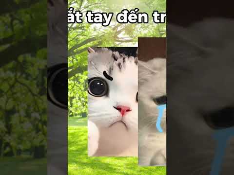 Lần đầu tiên mình bị đánh :)