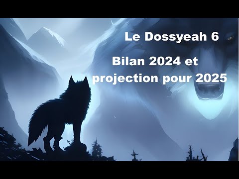 Le Dossyeah 6 : Bilan 2024 et projection 2025