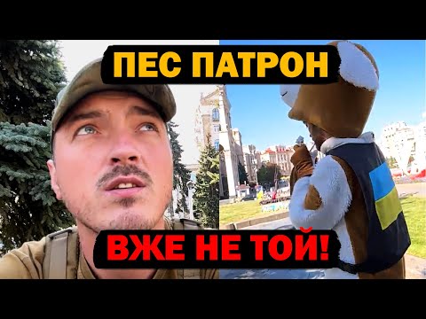 ПЕС ПАТРОН І ЗСУ | ІСТОРІЇ З ФРОНТУ | LVIVSKIY TIGR