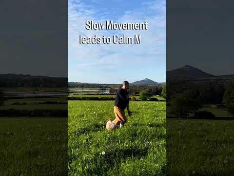 Slow Qi Gong movement leads to calm mind. Hope bring the calmness & clarity to you #kungfulife #calm