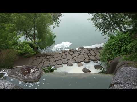 ♥ "A Summer Song" - by The Lettermen