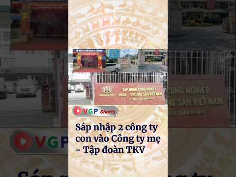 Sáp nhập 2 công ty con của Tập đoàn Công nghiệp Than - Khoáng sản Việt Nam