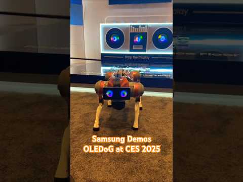 Samsung Demos OLEDoG at CES 2025