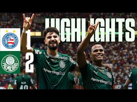 image para ilustrar o artigo