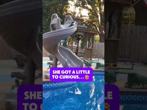 UH OH! 😂 Caught on Camera! 🎥: Jukin Media