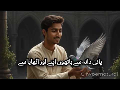  کبوتر اور بچے کی جذباتی کہانی | Emotional Short Story in Urdu | Heart Touching Kahani"