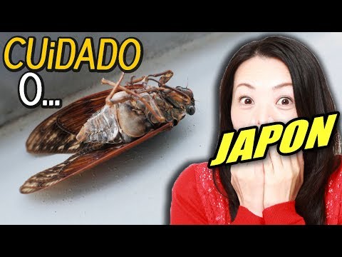 CUiDADO de NO PiSARLAS!! (te dara ñañaras) | JAPON