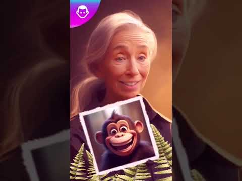 ¡Explora el increíble trabajo de Jane Goodall y su amor por los chimpancés!