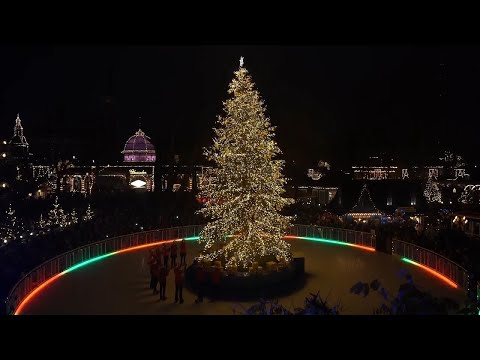 Cities across the world light up for the festive season