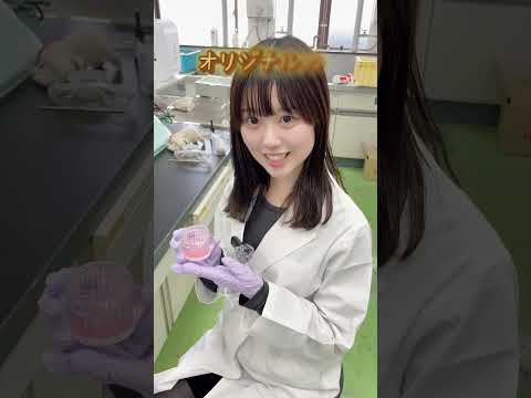 【学生広報動画第75弾】【第一薬科大学のオーキャンで新しい体験実習が登場します！】 #薬学部 #アロマキャンドル #オープンキャンパス #受験生