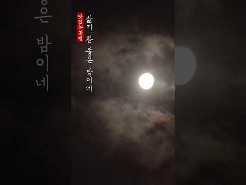 삶기 참 좋은 밤이네😈 #캠핑브이로그 #캠핑 #camping #캠핑asmr