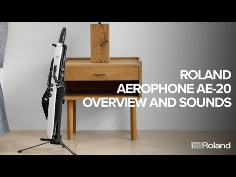 Roland Aerophone AE-20 Overview and Sound Examples