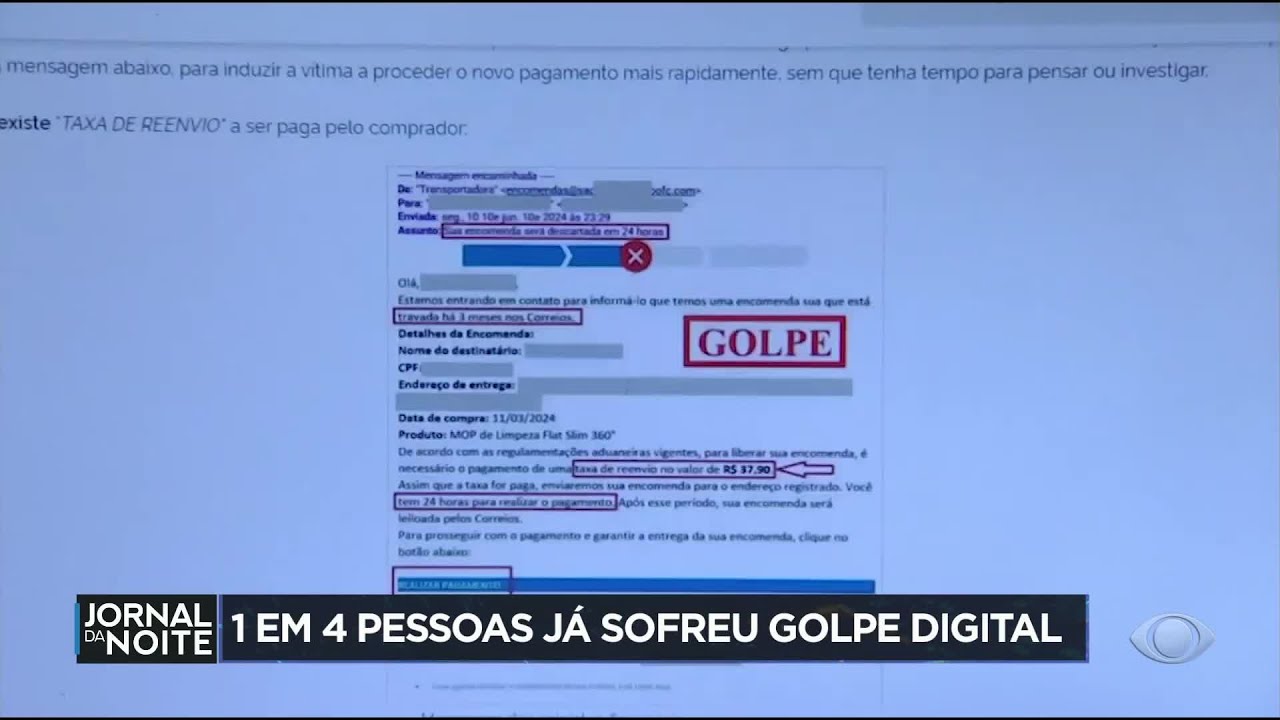 1 em 4 pessoas já sofreu golpe digital