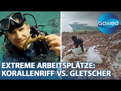 Korallenriff vs. Gletscher: Die extremsten Arbeitsplätze - Teil 2