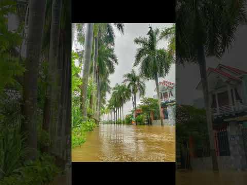 lũ miền trung thương quá!