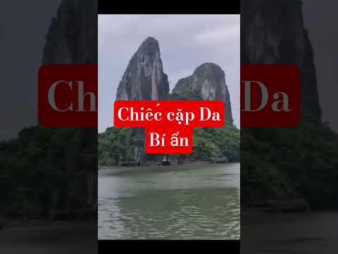 TÌNH BÁO/ CHIẾC CẶP DA BÍ ẨN #hồiức #tinhbaovn #tintuc