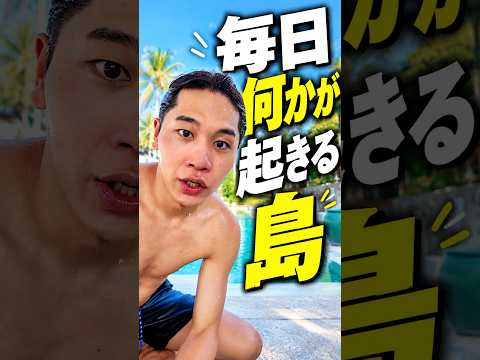 何も計画立てなくても毎日何かが起きる島。
