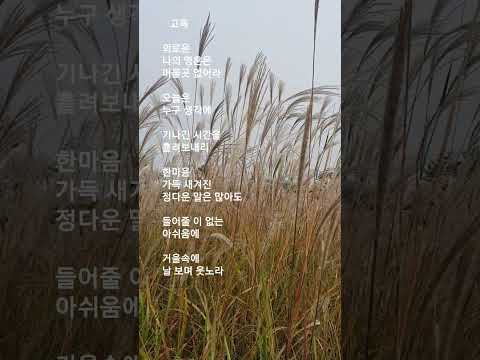 #고독   #송창식  #원곡: Wednesday's Child  #외로운 나의 영혼은 머물곳 없어라.....  #거울속에 날 보며 웃노라