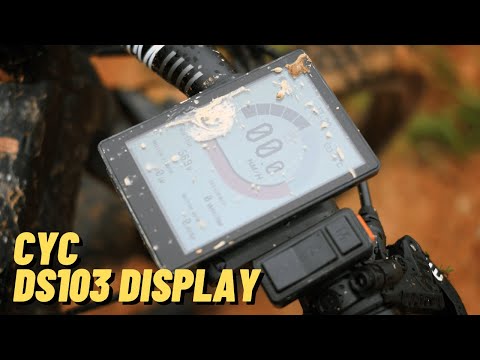 CYC DS103 Display