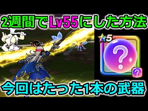 【ドラクエウォーク】たった１本の武器で2週間でLv55になってしまった・・最近この手の武器が環境をぶっ壊してます・・！