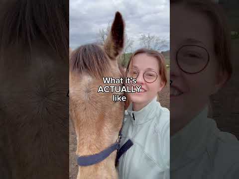 Instagram vs reality 😂 #beethoven #piano #pianist #classicalmusic