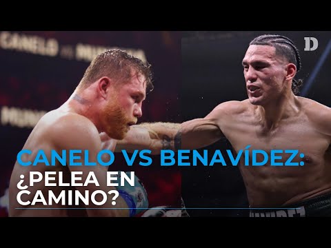 ¿Canelo Álvarez y David Benavídez se subirán al ring? | El Diario