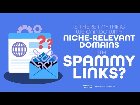 Is There Anything We Can Do With Niche Relevant Domains With Spammy Links?