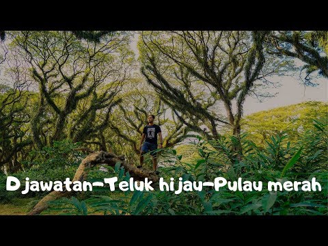 EXPLORE BANYUWANGI: DJAWATAN-TELUK HIJAU-PANTAI MERAH DALAM SEHARI!!!