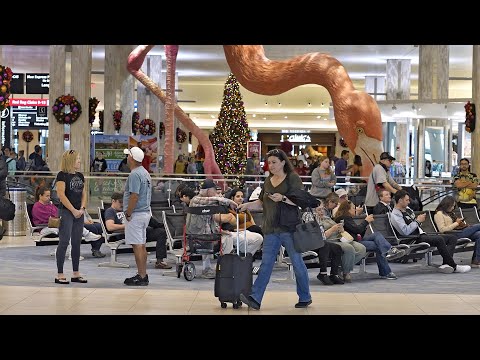 Busiest holiday travel season in years is off to a smooth start with few airport delays