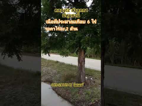 ขนาดไหน‼️ที่ดินติดถนนคอนกรีตโ