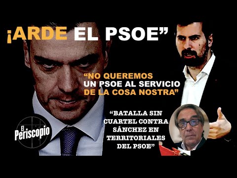 EL SOCIALISMO, AL BORDE DE LA GUERRA CIVIL: NO QUEREMOS UN PSOE AL SERVICIO DE LA COSA NOSTRA