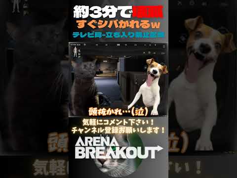 約3分で壊滅🙀すぐシバかれるｗ😹テレビ局-立ち入り禁止区域【Arena Breakout】#arenabreakout     #暗区突围 #アリーナブレイクアウト #fps
