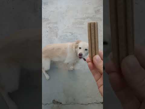Give me that treat